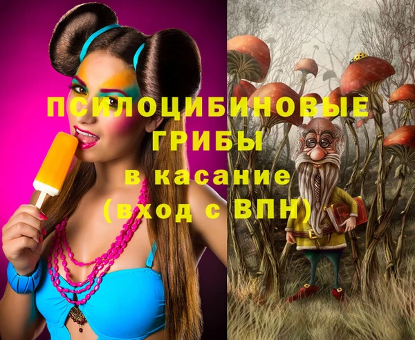 герыч Богородицк
